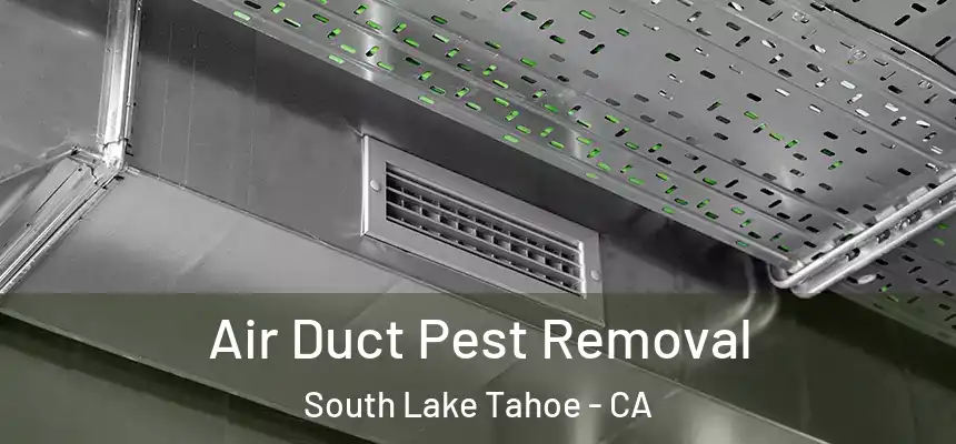  Air Duct Pest Removal South Lake Tahoe - CA