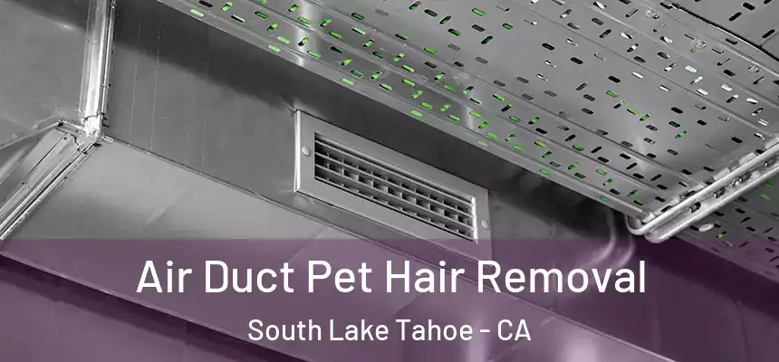  Air Duct Pet Hair Removal South Lake Tahoe - CA