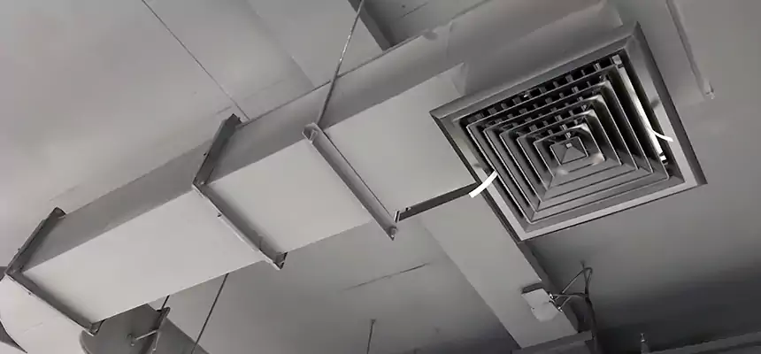 Restorative Allergy Relief Vent Cleaning – Coil, Blower & Housing Detail in South Lake Tahoe