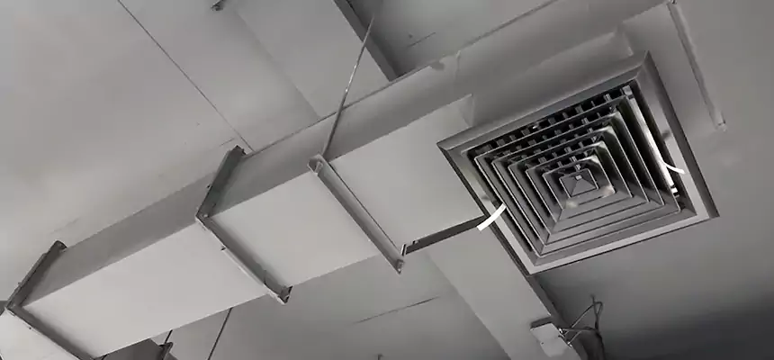 Our Rodent Droppings In Vents Services in South Lake Tahoe, CA