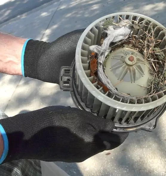 About Air Duct Rat Removal in South Lake Tahoe, CA