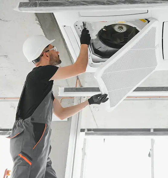 About Air Duct Rodent Removal in South Lake Tahoe, CA