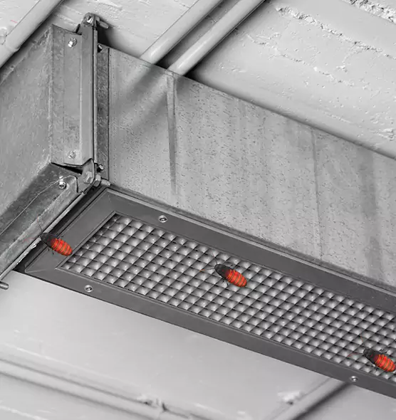 Affordable Insect Removal from Air Ducts in South Lake Tahoe, CA