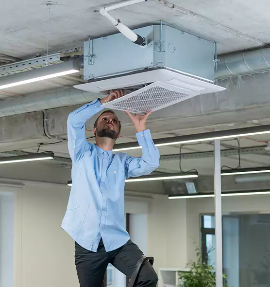 Advanced Rodent Droppings In Vents in South Lake Tahoe, CA