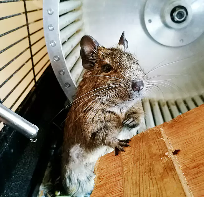 Why Homeowners & Businesses Trust Us South Lake Tahoe, CA