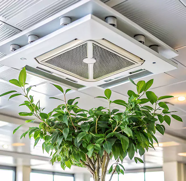 Why Homeowners & Businesses Trust Us in South Lake Tahoe, CA